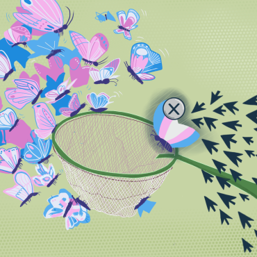  A green butterfly net in the center with white, blue, and pink butterflies on the left and click arrows on the right with a butterfly with the colors of the trans flag in the center and an x to close.