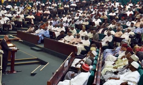 Image of Parliament In Nigeria 