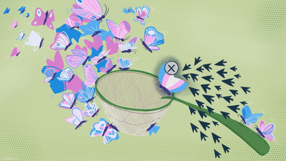 Una red de mariposas verde en el centro con mariposas blancas, azules y rosas a la izquierda y flechas de clicks a la derecha con una mariposa con los colores de la bandera trans al centro y con una x para cerrar. 