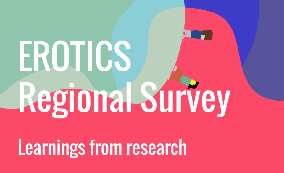 EROTICS regional survey - Learnings from research 
