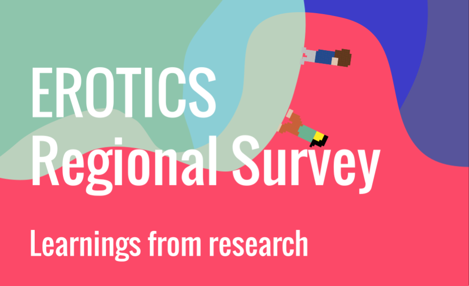 EROTICS regional survey - Learnings from research